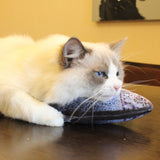 Realistic 3D Fish Cat Toy with Catnip - UniqueSimple