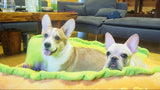 Hot Dog Pet Bed - UniqueSimple
