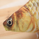 Realistic 3D Fish Cat Toy with Catnip - UniqueSimple